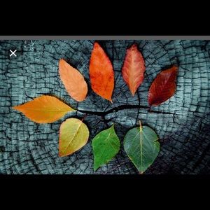 Meet your Posher, Abigail